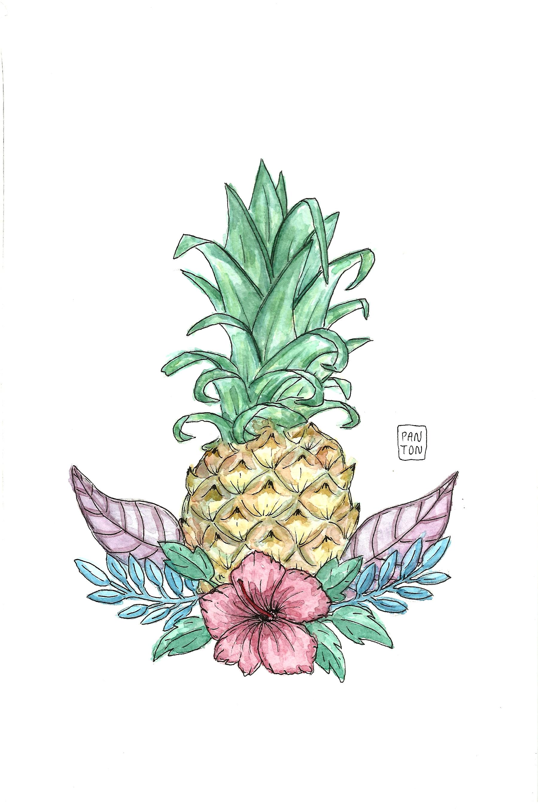 flores-y-pina